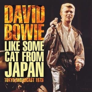 Like Some Cat From Japan