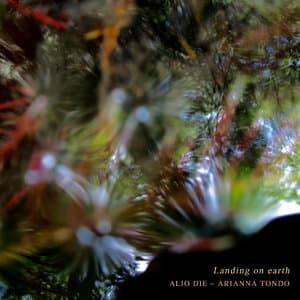 Landing On Earth