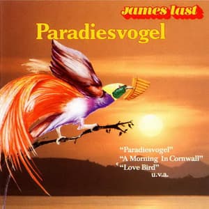 Paradiesvogel 