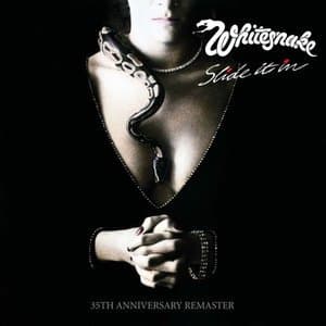 Slide It In (US Mix)