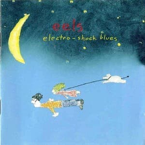 Electro-shock Blues