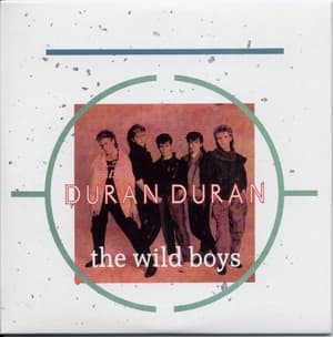 Singles Boxset 1981-1985: 12. The Wild Boys