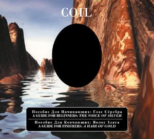 A Guide For Beginners - The Voice Of Silver / A Guide For Finishers - A Hair Of Gold