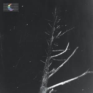 (Colours of the Night) Satellite