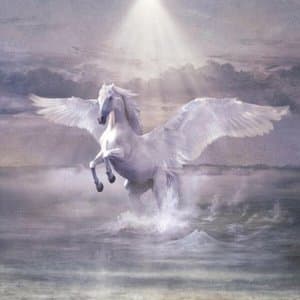 Sulle ali del cavallo bianco