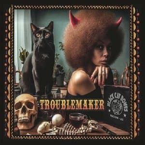 Troublemaker