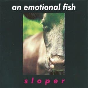 Sloper