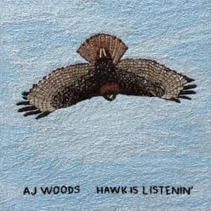 Hawk Is Listenin
