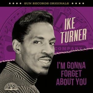Sun Records Originals: Im Gonna Forget About You