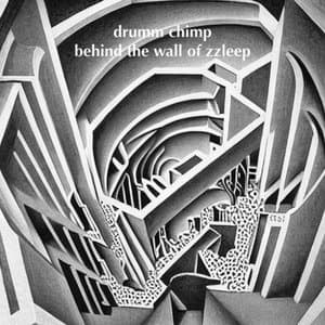 Behind The Wall Of Zzleep