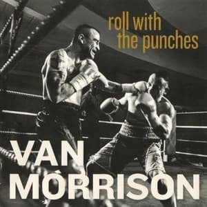 Roll With The Punches
