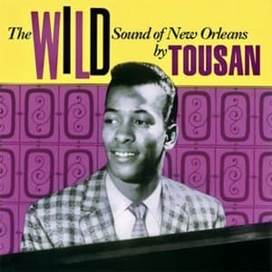 The Wild Sound Of New Orleans