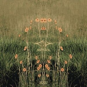 Samsara