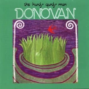 Hurdy Gurdy Man