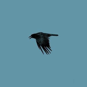 The Raven Diaries