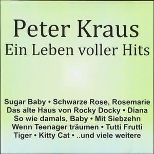 Ein Leben Voller Hits