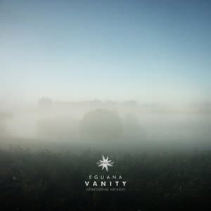 Vanity