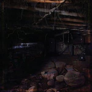 Crawlspace