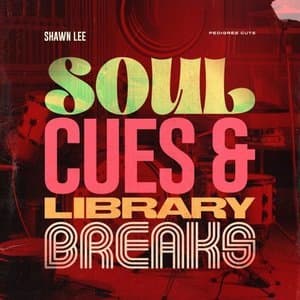 Soul Cues & Library Breaks