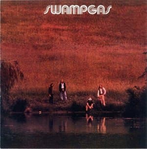 Swamp Gas