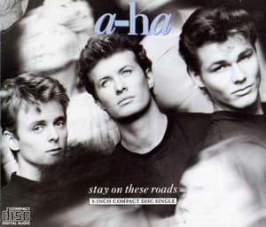 Stay On These Roads