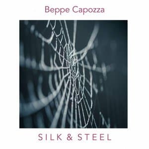 Silk & Steel