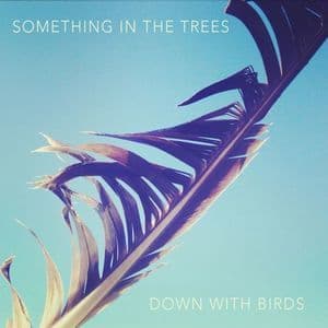 Down With Birds
