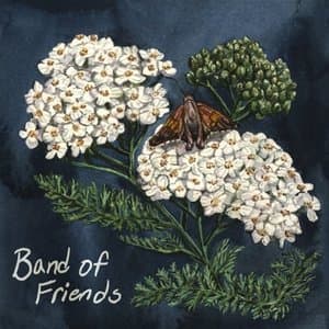 Band Of Friends