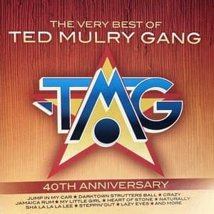 The Very Best Of Ted Mulry Gang