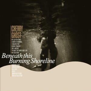 Beneath this Burning Shoreline