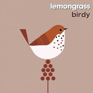 Birdy