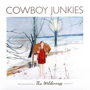 The Wilderness. The Nomad Series, Volume 4