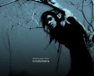 Windumaera