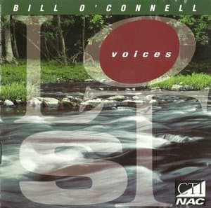Lost Voices