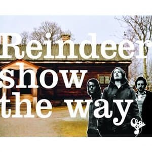 Reindeer Show the Way