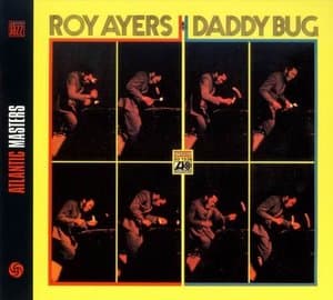 Daddy Bug