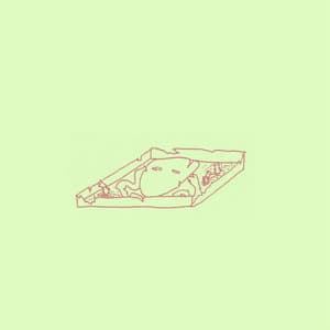 I Want to Hide My Face & Die (Deluxe Version)