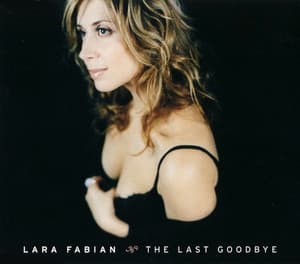The Last Goodbye