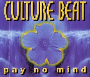 Pay No Mind