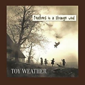 Feathers in a strange wind