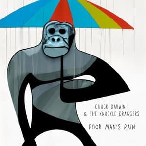 Poor Mans Rain
