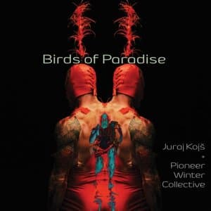 Birds of Paradise