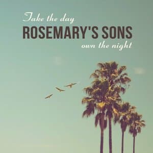 Take The Day, Own The Night