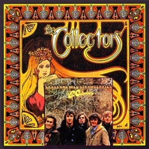 The Collectors + Grass And Wild Strawberries
