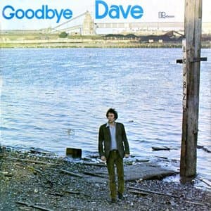 Goodbye Dave