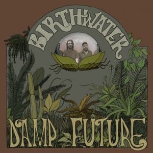 Damp Future