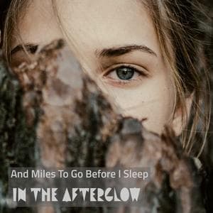 And Miles to Go Before I Sleep 
