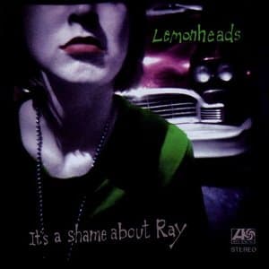 Its A Shame About Ray