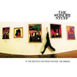 If The Beatles Had Read Hunter... The Singles