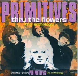 Thru The Flowers - The Anthology